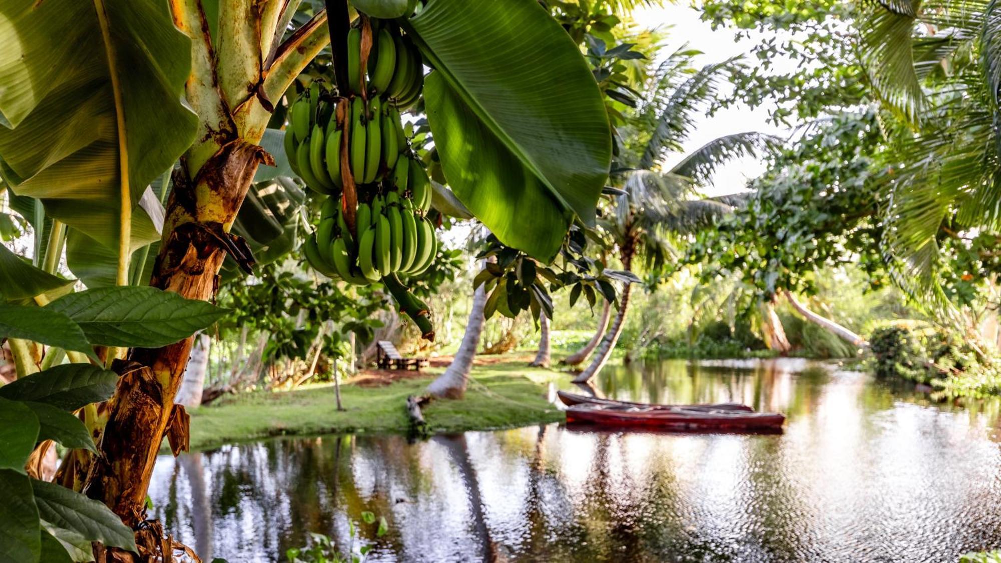 Kibayo Lagoon Villa Cabarete Exterior photo